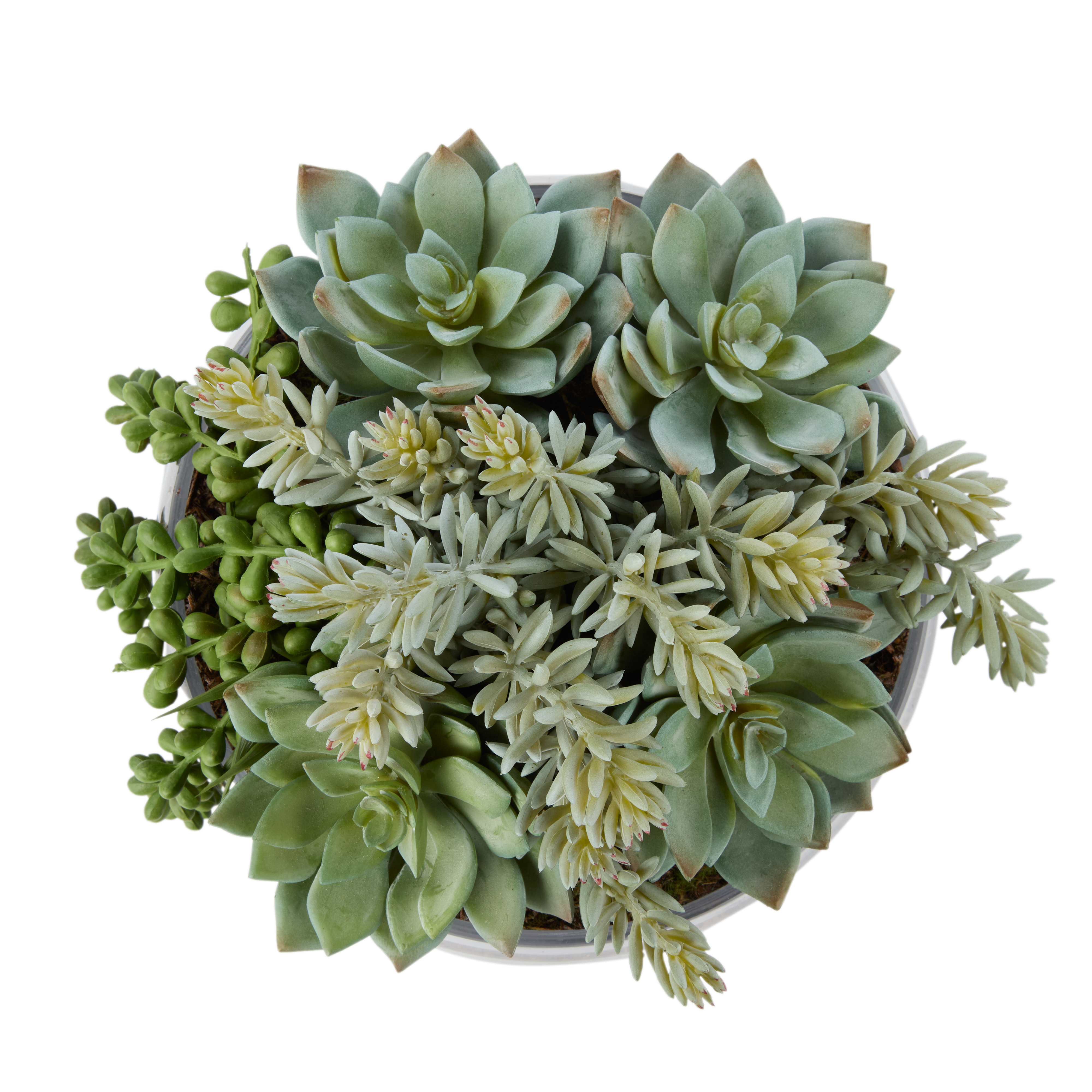 Rogue Artificial Succulent Mix in Scarlett Bowl Fake Indoor Potted Plant 22x27cm - Picture 2 of 7