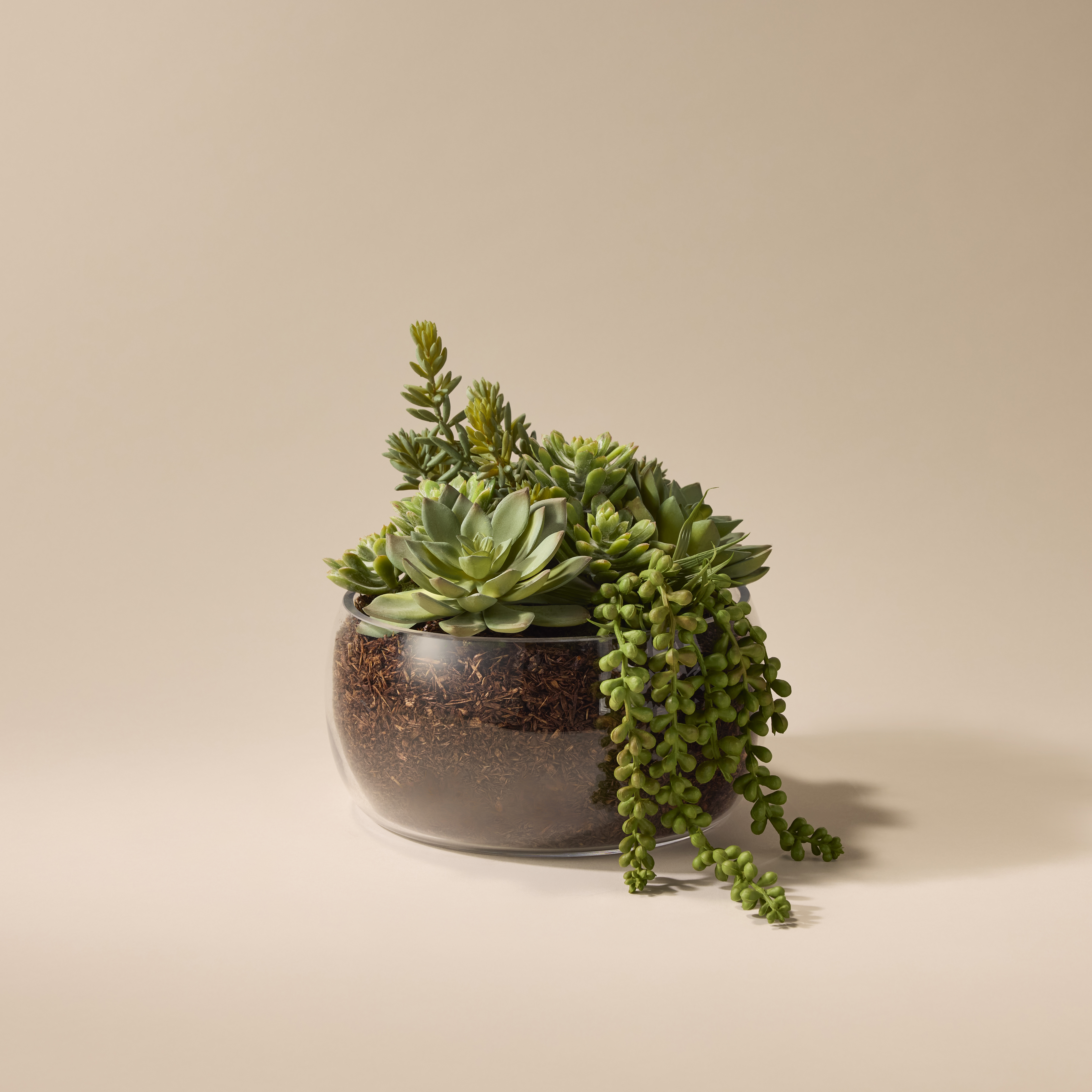 Rogue Artificial Succulent Mix in Scarlett Bowl Fake Indoor Potted Plant 22x27cm - Picture 4 of 7
