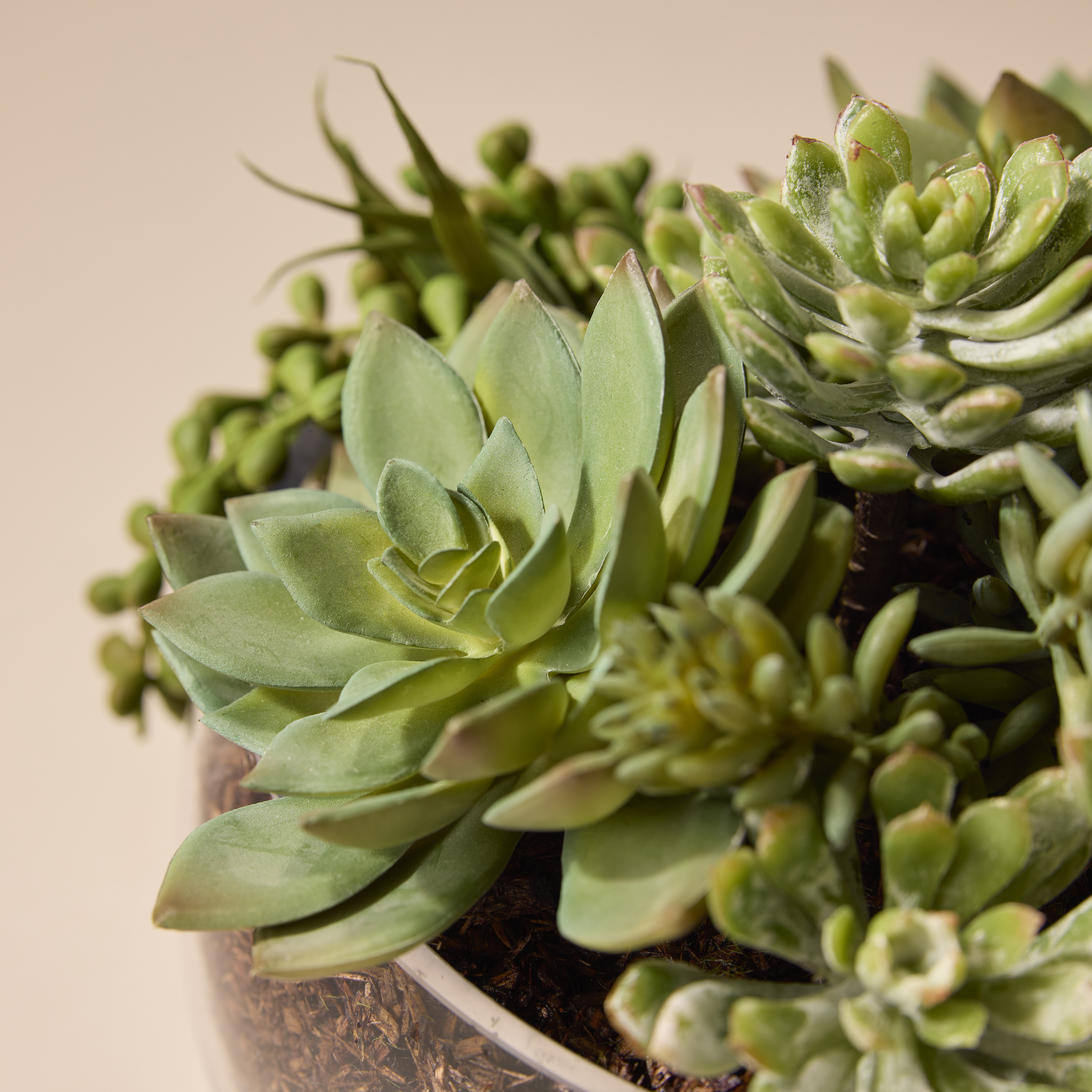 Rogue Artificial Succulent Mix in Scarlett Bowl Fake Indoor Potted Plant 22x27cm - Picture 6 of 7