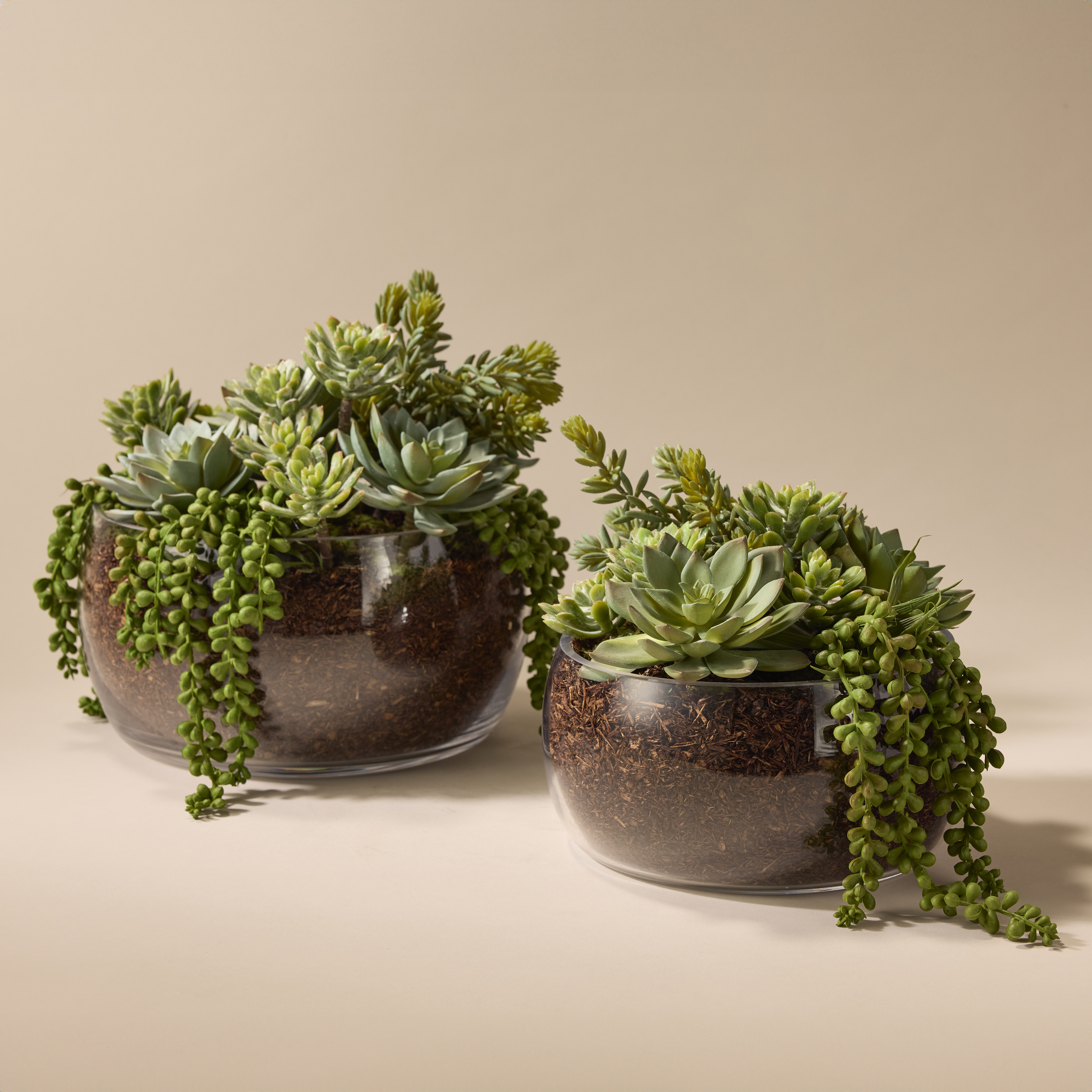 Rogue Artificial Succulent Mix in Scarlett Bowl Fake Indoor Potted Plant 22x27cm - Picture 7 of 7