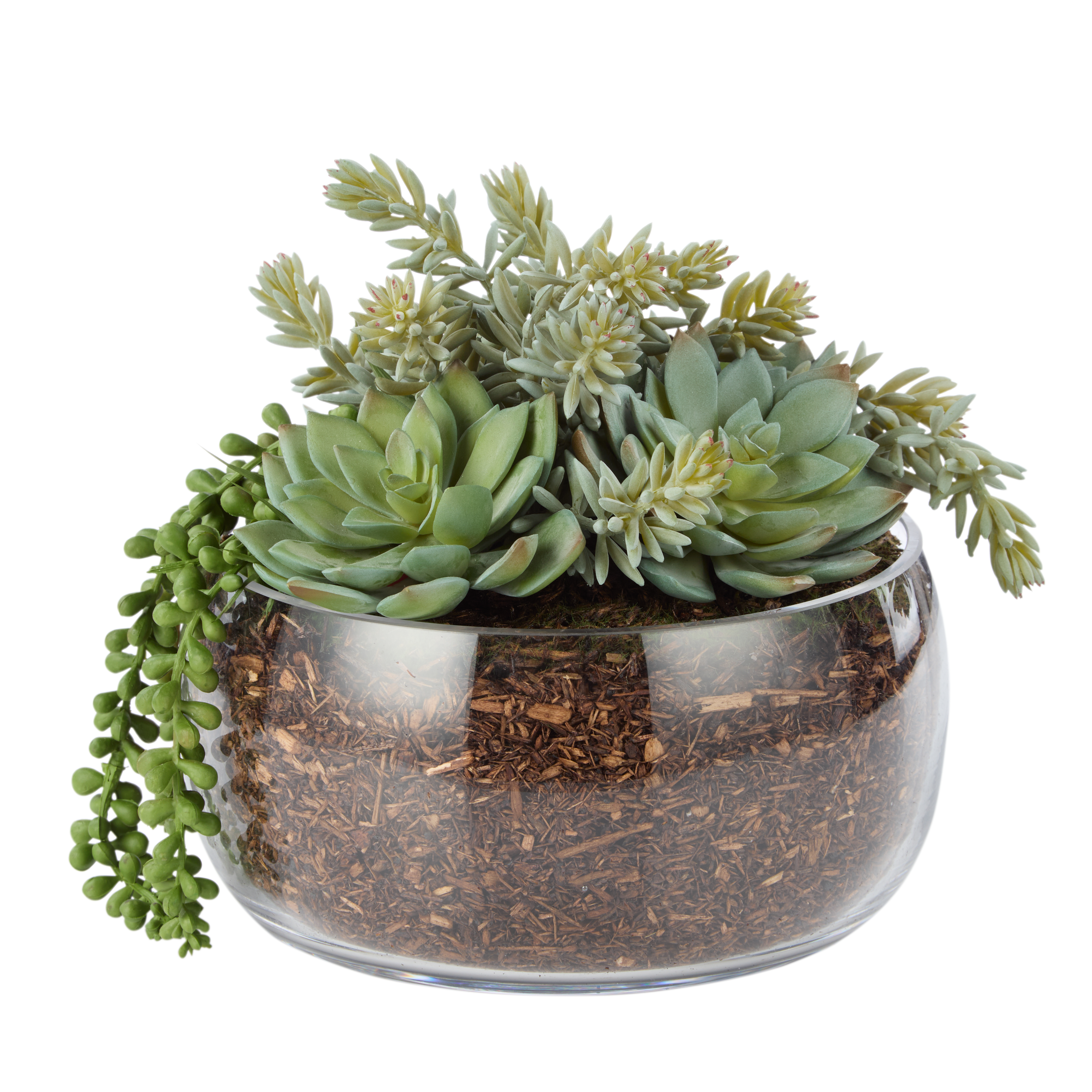 Rogue Artificial Succulent Mix in Scarlett Bowl Fake Indoor Potted Plant 22x27cm - Picture 1 of 7