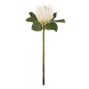 Rogue Grand Protea Stem White 25x25x63cm