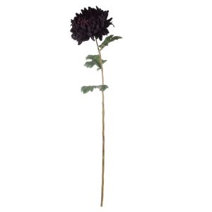 Rogue Chrysanthemum Stem Purple 76x15x15cm