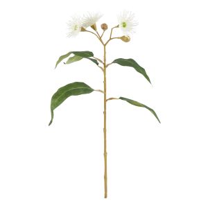 Rogue Eucalyptus Flowering Spray White 11x3x62cm