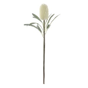 Rogue Banksia Cone Stem Cream 25x25x61cm