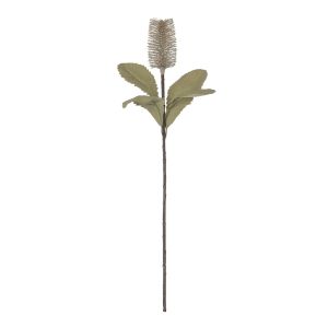 Rogue Banksia Stem White 33x25x74cm