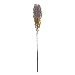Rogue Dried Look Protea Stem Dusty Brown 12x12x62cm