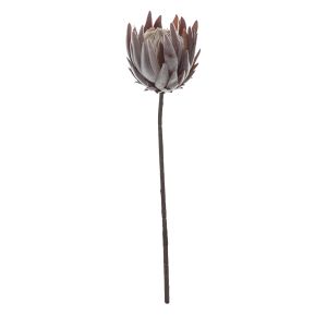 Rogue Dried Look King Protea Stem Dusty Brown 16x16x58cm