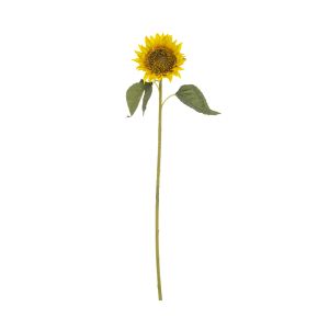 Rogue Sunflower Stem Yellow 12x12x62cm