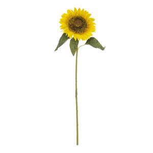 Rogue Sunflower Stem Yellow 18x18x62cm