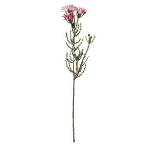 Rogue Kaaps Flower Spray Pink 13x8x62cm