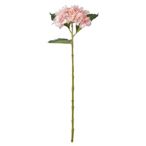Evergreen by Rogue Hydrangea Stem Pink 15x15x60cm