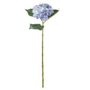 Evergreen by Rogue Hydrangea Stem Blue 15x15x60cm