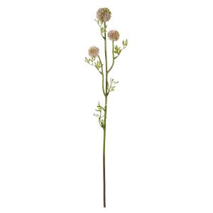 Rogue Mini Allium Stem Pink 9x5x64cm