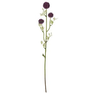 Rogue Mini Allium Stem Dark Purple 9x5x64cm