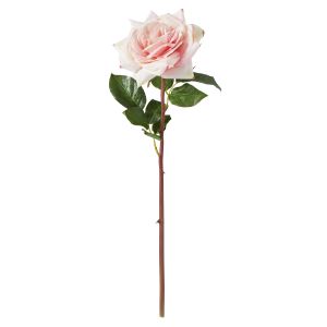 Rogue Westminster Rose Stem Pink 20x15x52cm