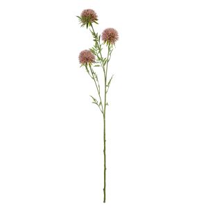 Rogue Allium Spray Pink 11x6x81cm