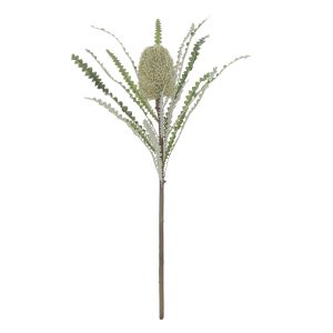 Rogue Black Banksia Stem Grey Green 25x25x64cm