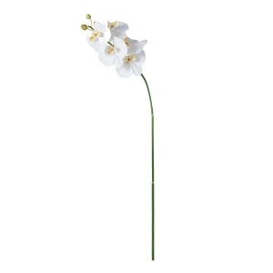 Rogue Phalaenopsis Stem White 88x20x9cm 11.772.01