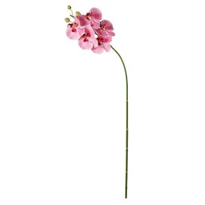 Rogue Phalaenopsis Stem Pink 88x20x9cm