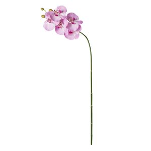 Rogue Phalaenopsis Stem Purple 88x20x9cm