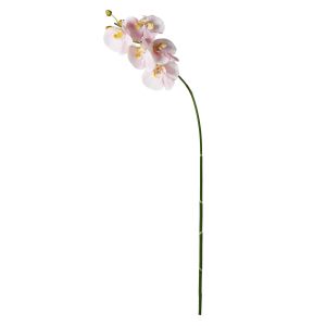 Rogue Phalaenopsis Stem Soft Pink 88x20x9cm 11.772.33