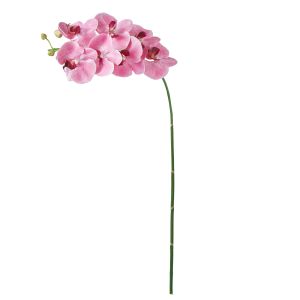 Rogue Phalaenopsis Stem Pink 88x20x9cm 11.773.05