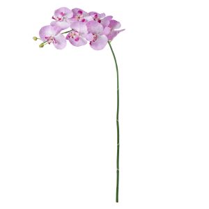 Rogue Phalaenopsis Stem Purple 88x20x9cm 11.773.10
