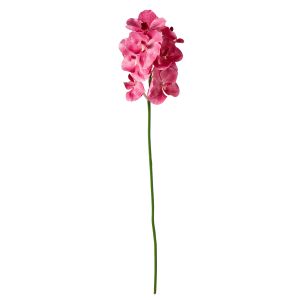 Rogue Vanda Orchid Pink 66x17x13cm