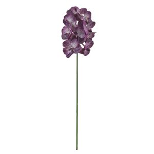 Rogue Vanda Orchid Purple 66x17x13cm