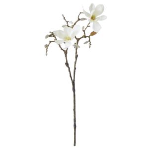 Rogue Tree Magnolia Flower Cream 13x35x83cm