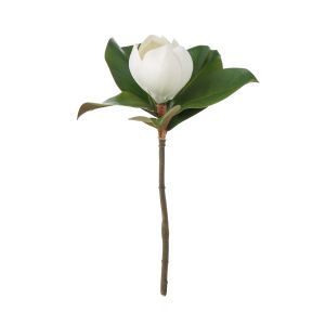 Rogue Magnolia Stem White 28x18x35cm