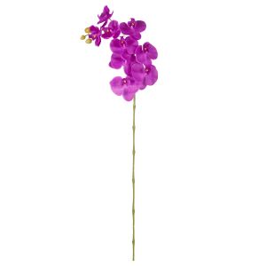 Rogue Vanda Orchid Stem Purple 100x15x8cm