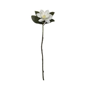 Rogue Magnolia Stem White & Green 8x1x71cm