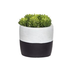 Emporium Succulent Garden-Cement Pot Green/Grey/White 9x8x10cm