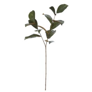 Rogue Magnolia Leaves Green 25x16x76cm