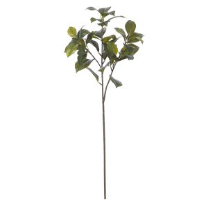 Rogue Camellia Branch Green 20x20x66cm