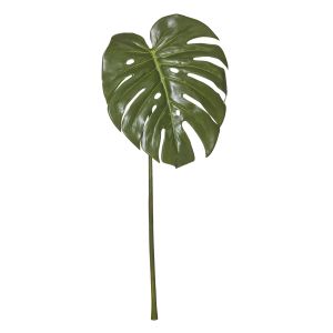 Rogue Monstera Leaf Green 30x26x60cm