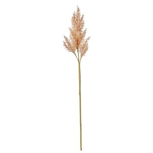 Rogue Dried Look Pampas Stem Beige 16x14x82cm