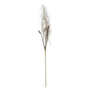 Rogue Field Grass Stem Cream 18x16x82cm