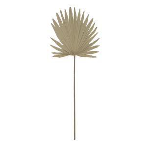 Rogue Dried Sun Fan Palm Stem Natural 38x1x96cm