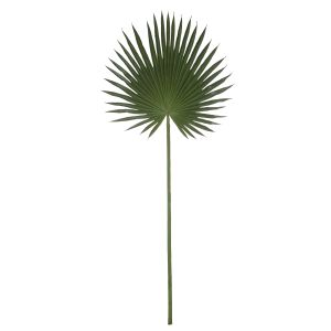 Rogue Sun Fan Palm Green 45x1x112cm