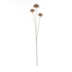 Rogue Deco Allium Bud Light Brown 12x8x61cm