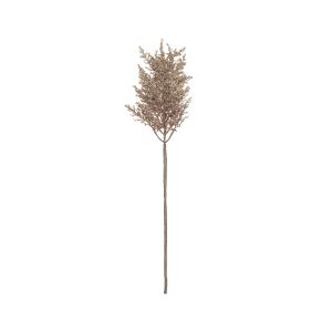 Rogue Dried Look Tea Tree Stem Light Brown 15x15x62cm