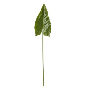 Rogue Taro Leaf Green 20x20x102cm