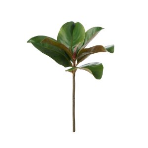 Rogue Magnolia Pick Green 25x20x35cm