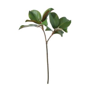 Rogue Magnolia Foliage Green 41x25x64cm