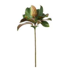 Rogue Magnolia Bud Stem Green 33x33x53cm