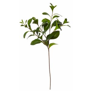 Rogue Lush Leaves Stem Green 28x20x75cm