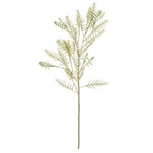 Rogue Grevillea Foliage Light Green 32x25x75cm